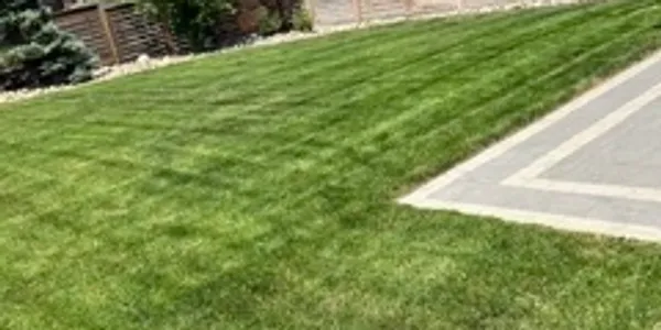 Summer Maintenance & Lawn Mowing