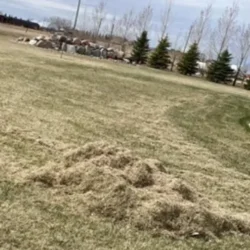 Commercial/X-Large Mowing