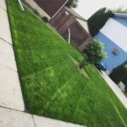 Small Lawn Mow, less than 1500SqFt