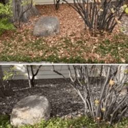 Yard & Leaf Clean-Ups