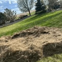 FULL Spring Clean-Up Packages