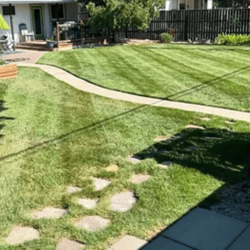 Medium (2000-3500SqFt)