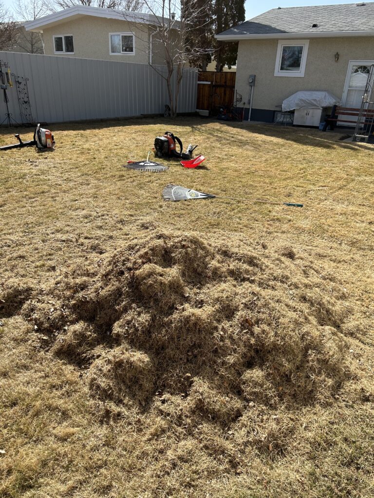 backyard scene with a pile of grass clippings
