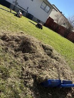 A pile of grass clippings on a lawn