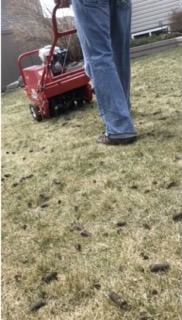 A person using a red lawn aerator
