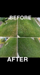 image showing a grassy area in four sections