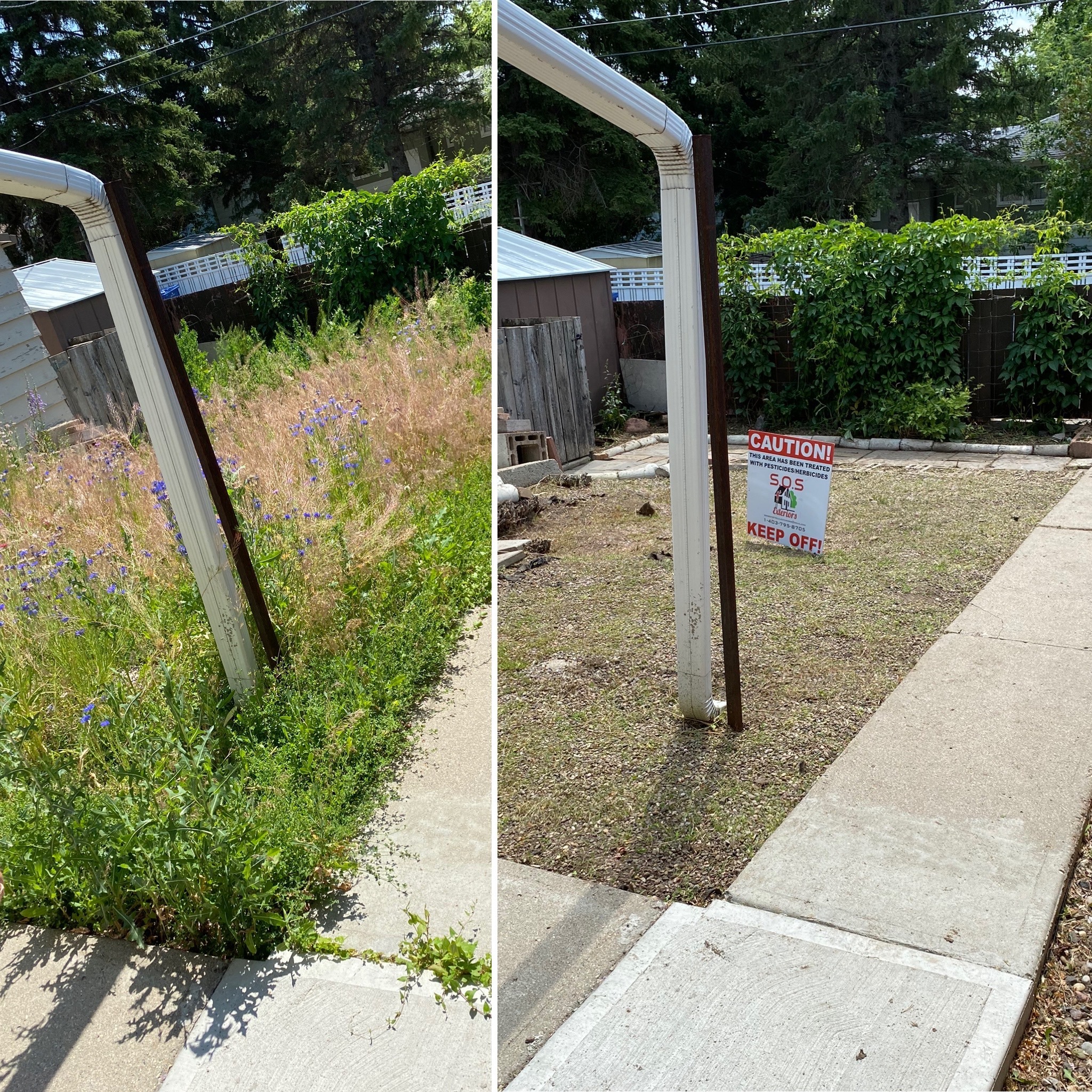split image showing two garden areas