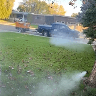 What You Need To Know About Lawn Care Fertilizer