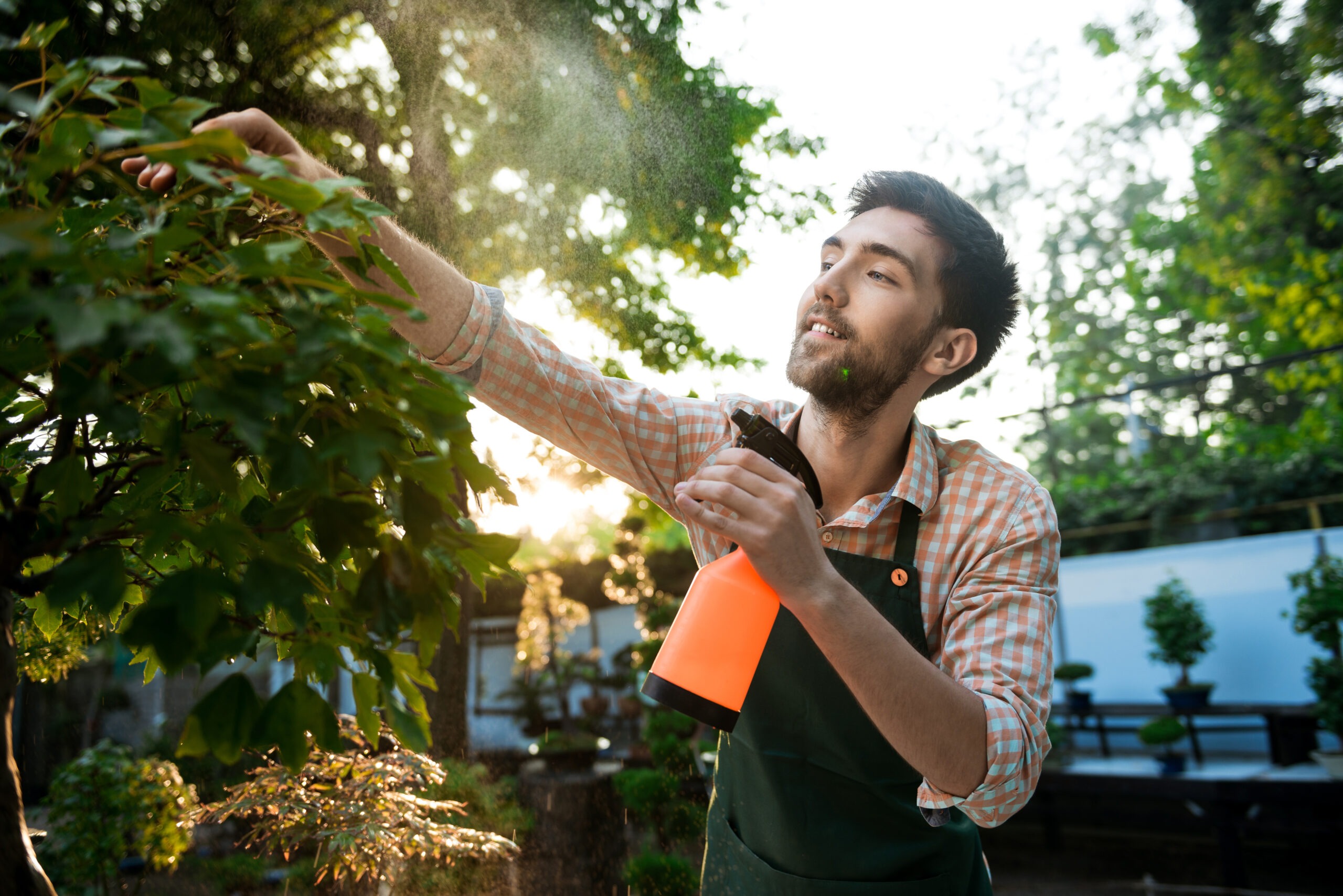 How to Choose the Best Fertilizer for a Healthy, Beautiful Lawn