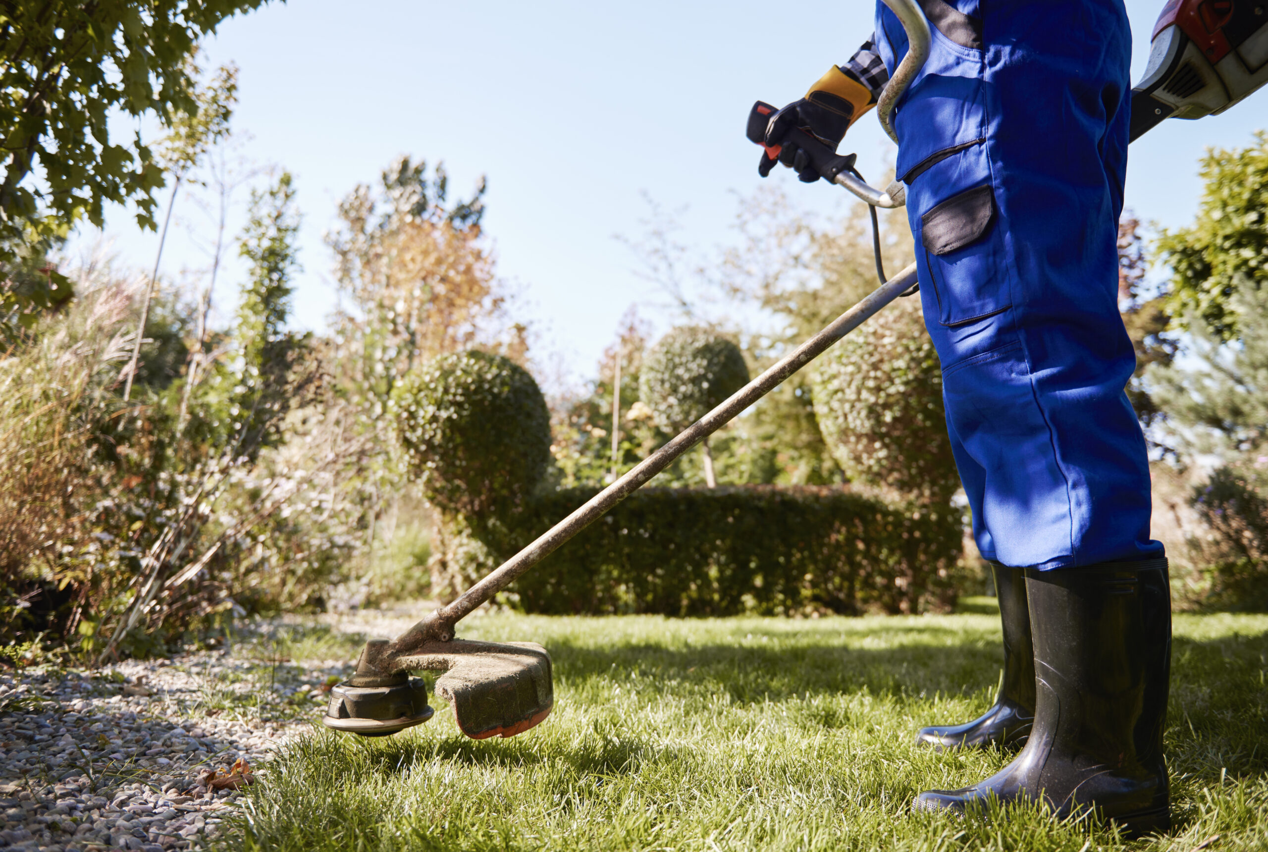 lawn services