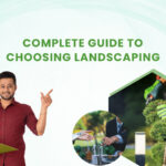 Complete Guide to Choosing Landscaping Contractors in Lethbridge