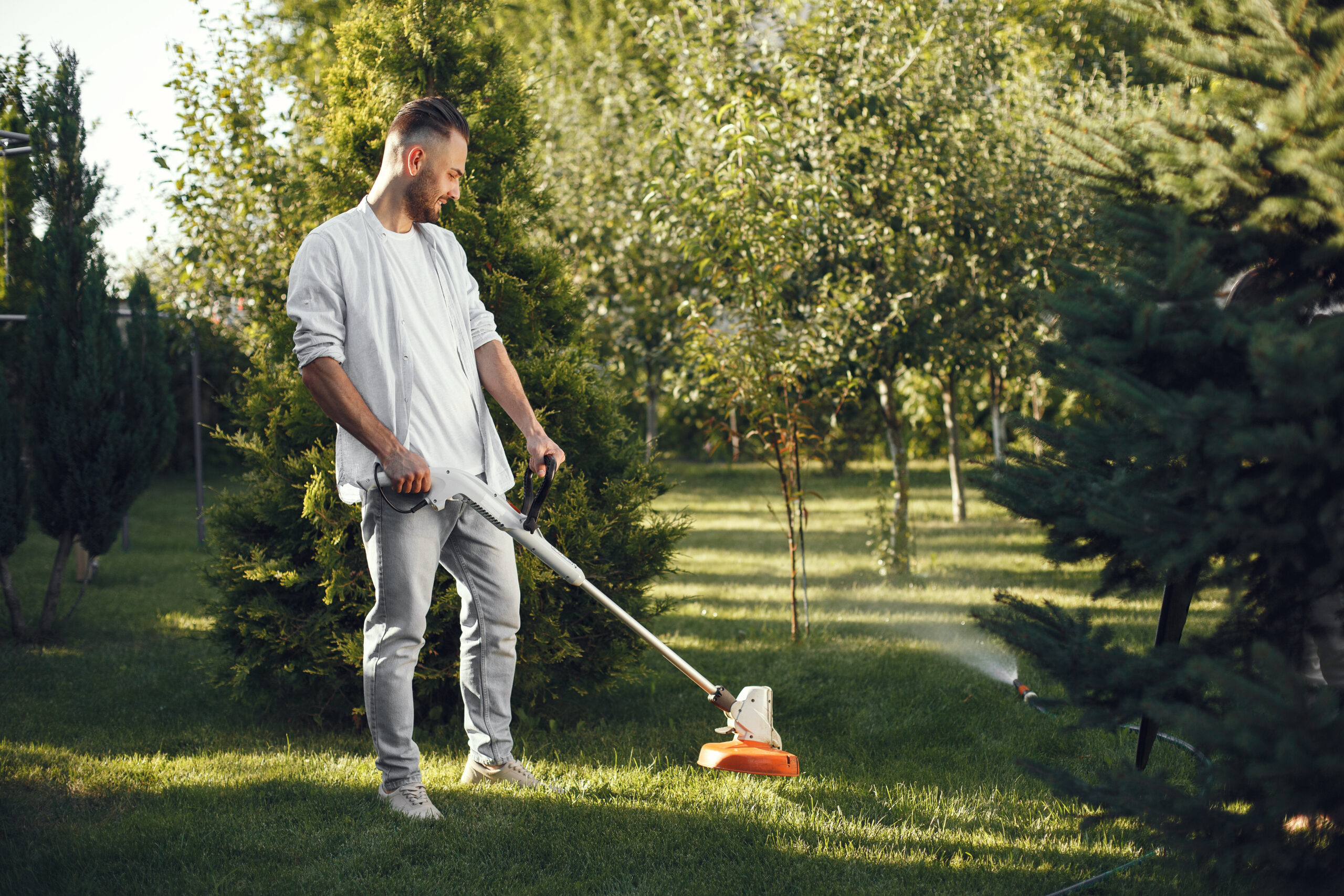 Fall Lawn Maintenance Tips Services