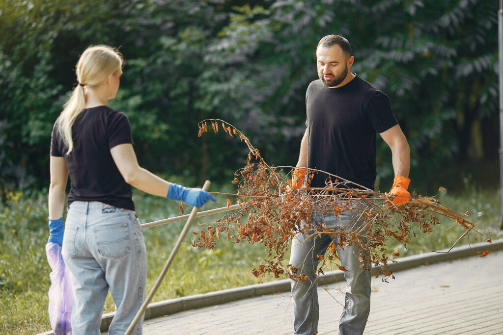 Get Your Yard Ready for Winter with Lethbridge’s Best Leaf Cleaners