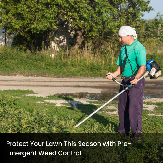 Protect Your Lawn This Season with Pre-Emergent Weed Control