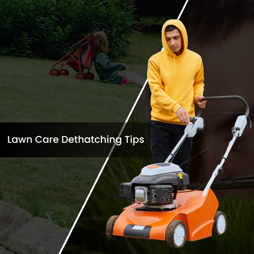 The Right Time to Dethatch Grass for a Healthier Lawn