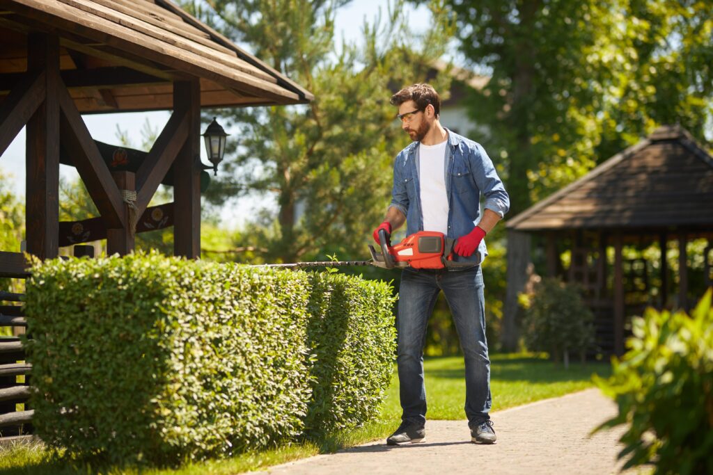 A man is trimming a hedge