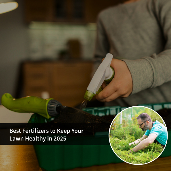 Best Fertilizers for a Healthy Lawn in 2025