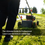 The Ultimate Guide to Professional Lawn Care Services in Lethbridge