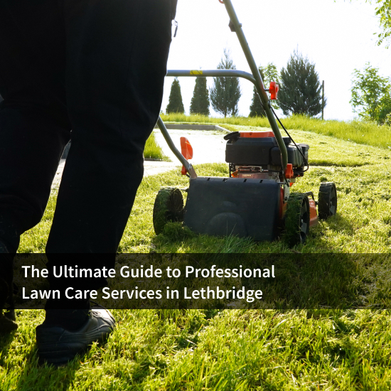 The Ultimate Guide to Professional Lawn Care Services in Lethbridge