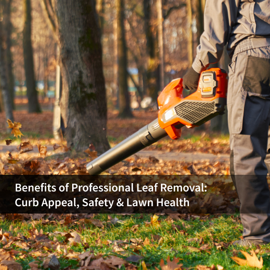Benefits of Professional Leaf Removal: Curb Appeal, Safety & Lawn Health