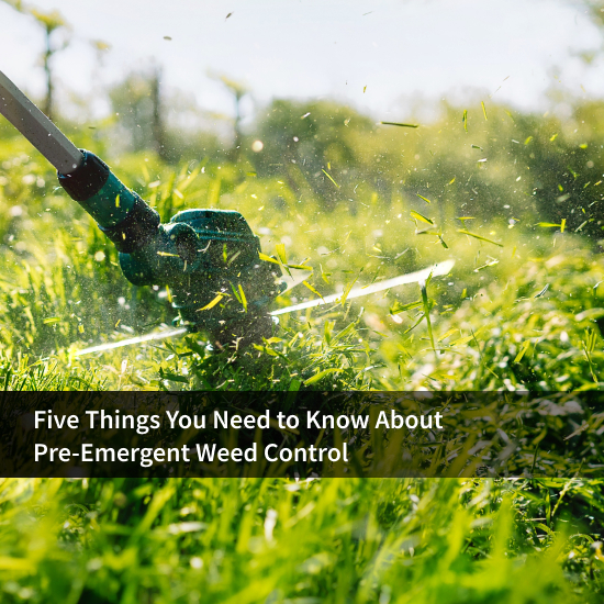 Pre-Emergent Weed Control