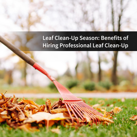 Leaf Clean-Up Season Services