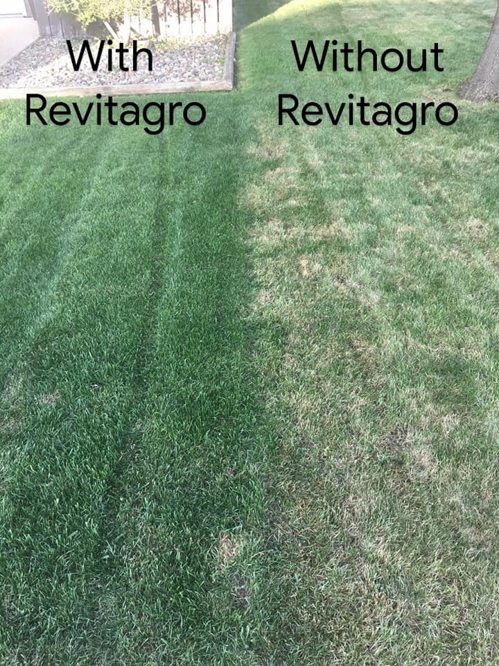 Revitagro