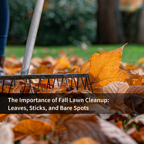 The Importance of Fall Lawn Cleanup: Leaves, Sticks, and Bare Spots