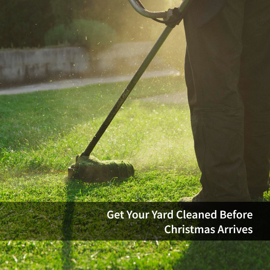 Get Your Yard Cleaned Before Christmas Arrives