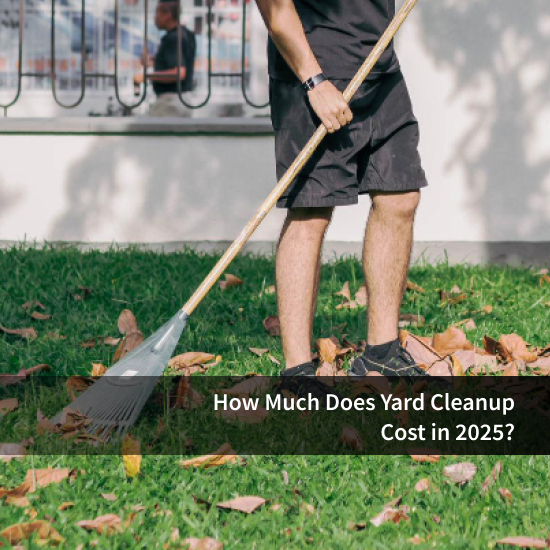 How Much Does Yard Cleanup Cost in 2025?