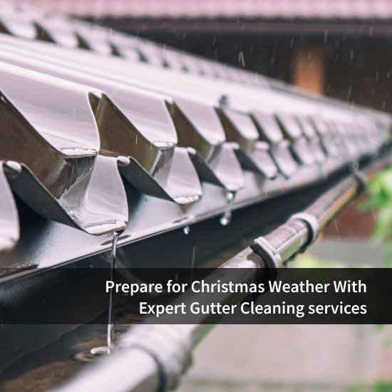 Expert Gutter Cleaning