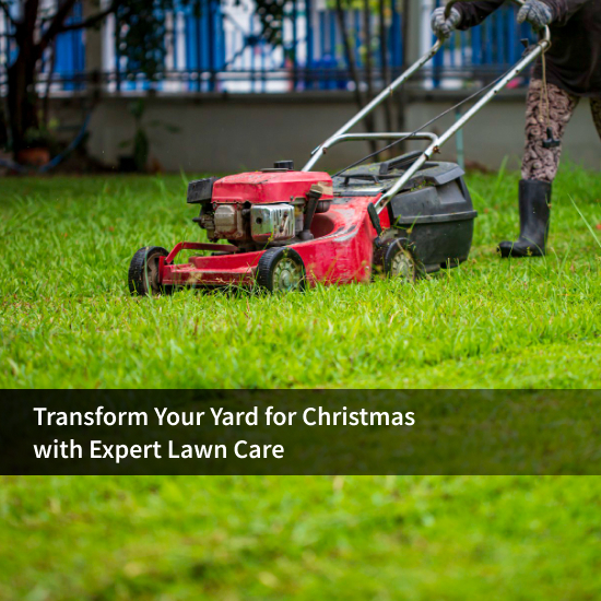 Transform Your Yard for Christmas with Expert Lawn Care