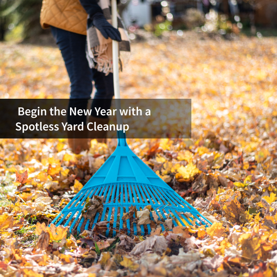 Begin the New Year with a Spotless Yard Cleanup