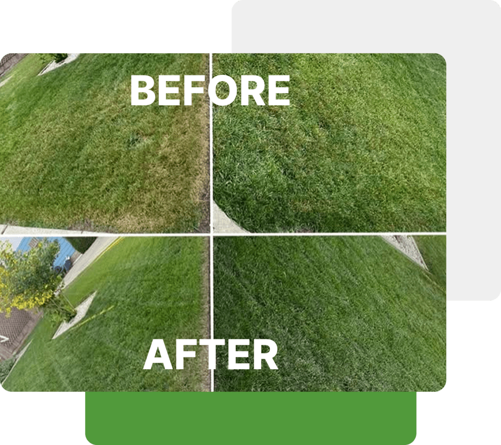 Businesses & Customers