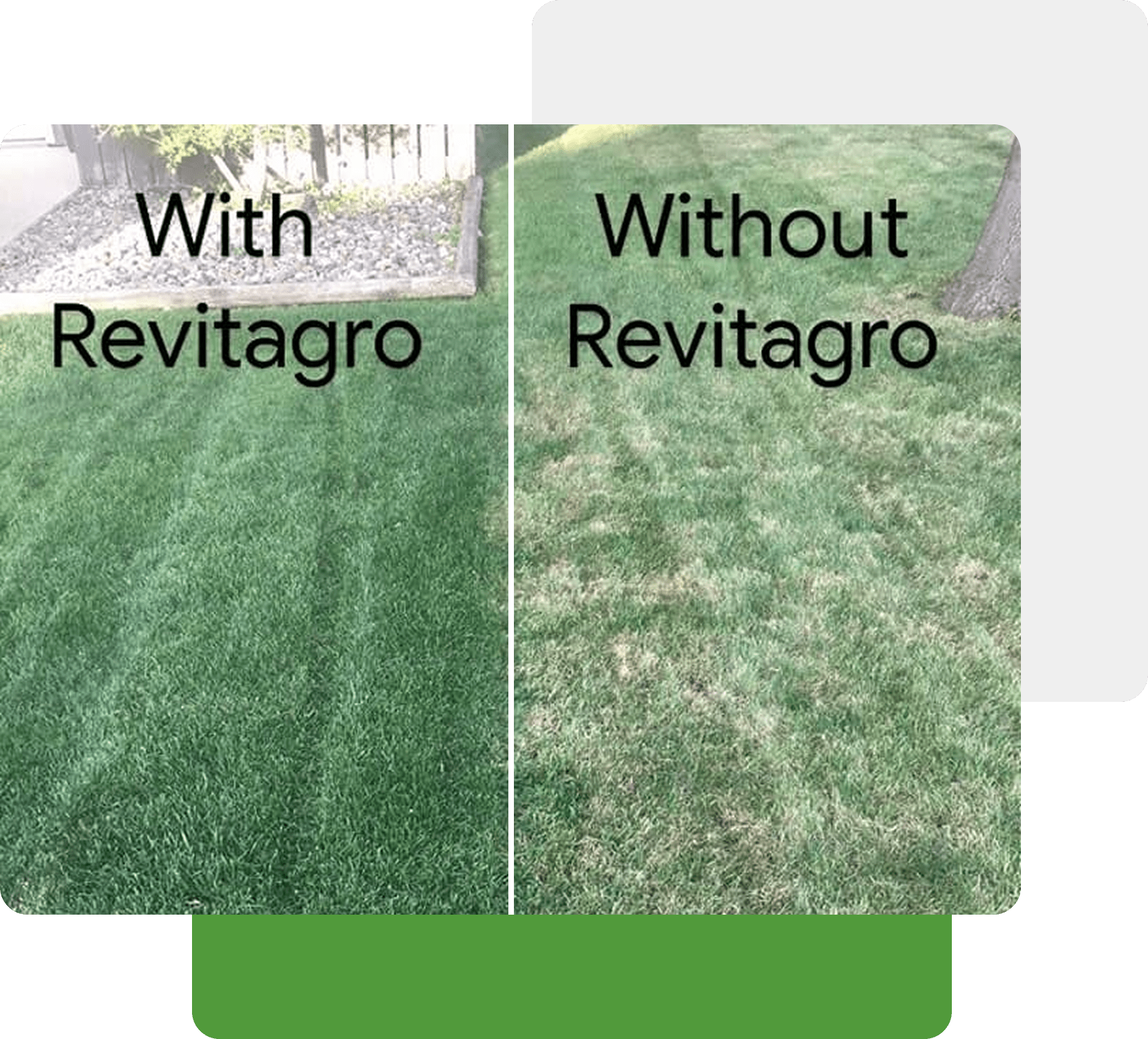 Consultation & Needs