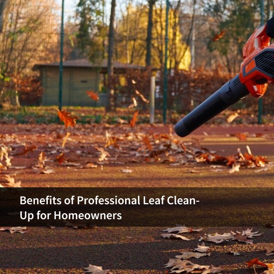 Benefits of Professional Leaf Clean-Up for Homeowners