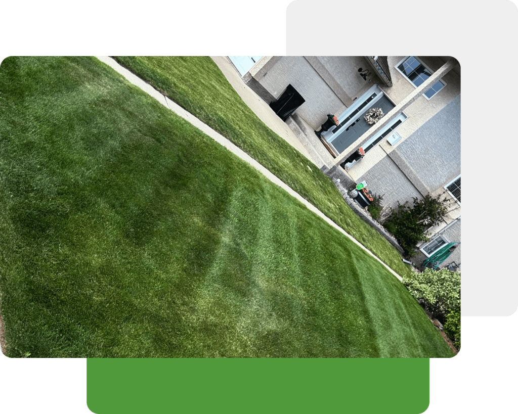 Property Maintenance