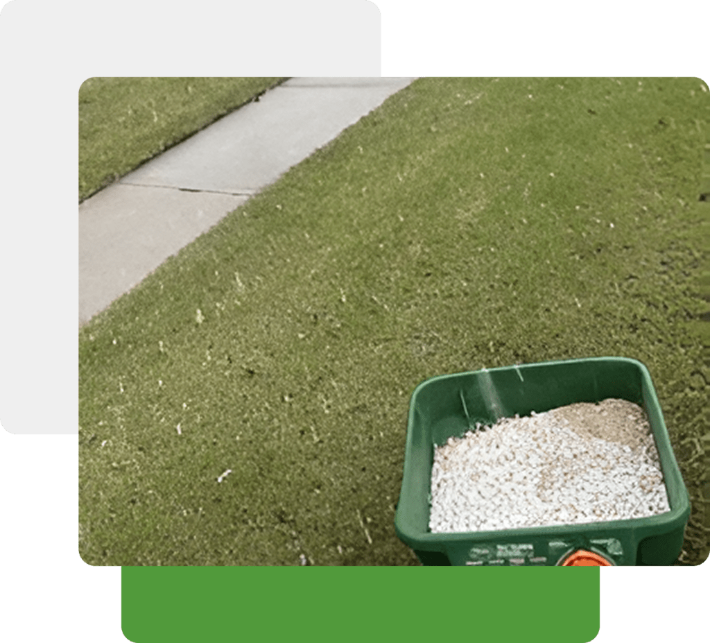 The Value of Fertilization