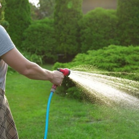 Watering Too Much or Too Little