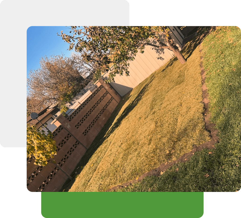 Leaf Clean-Up in Lethbridge