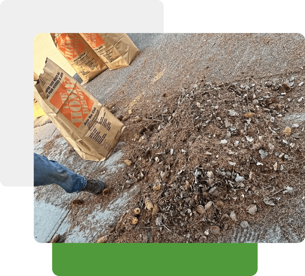 One-Time or Seasonal