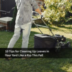10 Tips for Cleaning Up Leaves in Your Yard Like a Pro This Fall