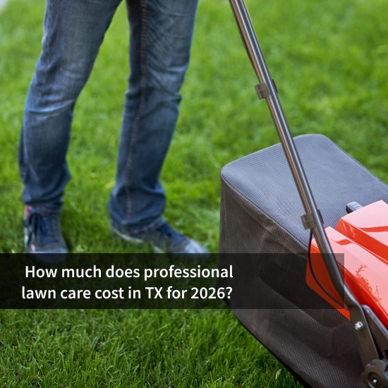 lawn care cost