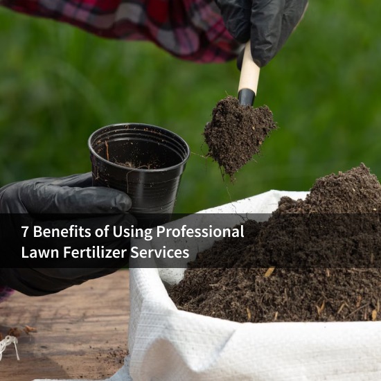 7 Benefits of Using Professional Lawn Fertilizer Services