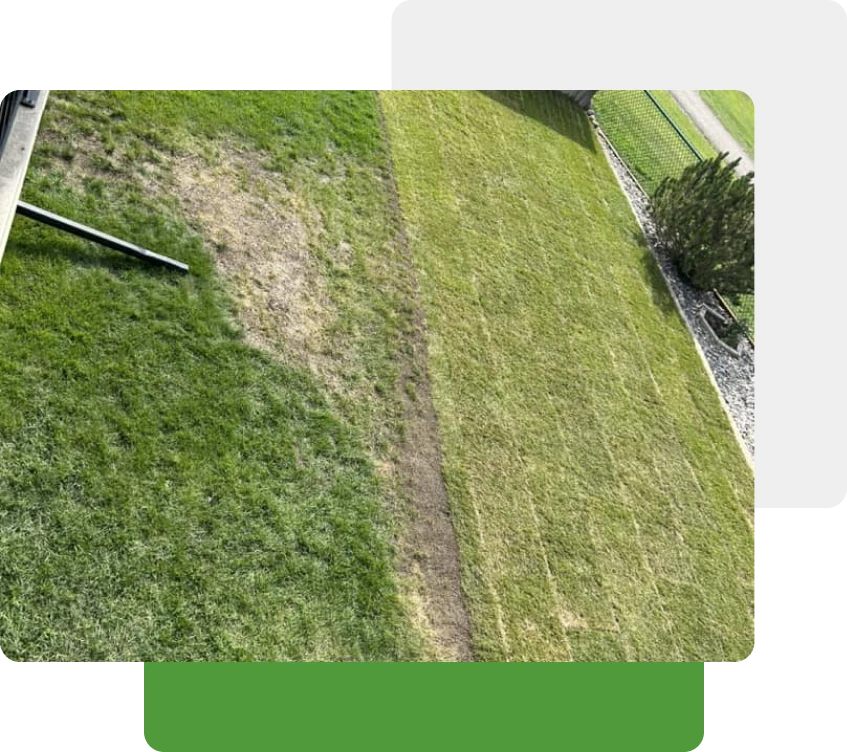 Power Raking Is Important for Your Lawn​