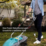 How Power Rake Boosts Lawn Growth for a Healthier Yard