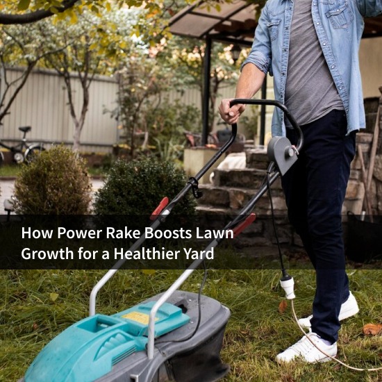 How Power Rake Boosts Lawn Growth for a Healthier Yard