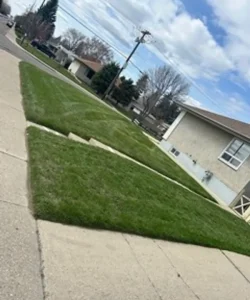 lawn care
