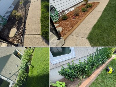 376C6B75-6CDB-4586-BE97-7EACF2D28BF3