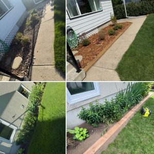 376C6B75-6CDB-4586-BE97-7EACF2D28BF3